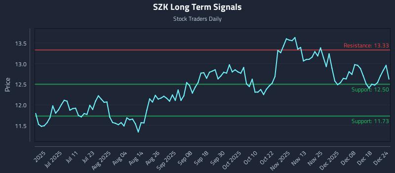 SZK Long Term Analysis for December 25 2025
