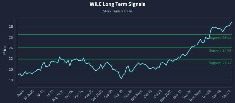 WILC Long Term Analysis for December 25 2025