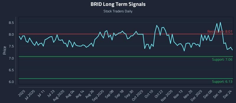 BRID Long Term Analysis for December 25 2025