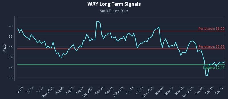 WAY Long Term Analysis for December 26 2025 WAY Long Term Analysis for December 26 2025