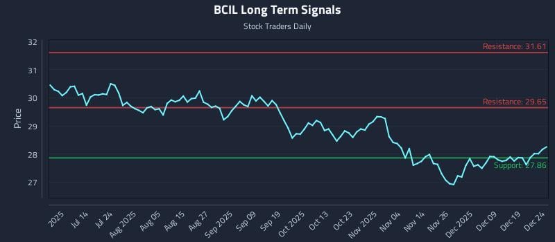 BCIL Long Term Analysis for December 26 2025 BCIL Long Term Analysis for December 26 2025