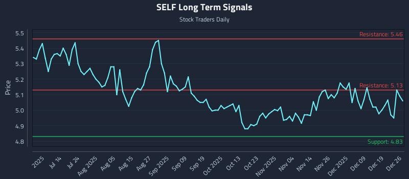 SELF Long Term Analysis for December 26 2025