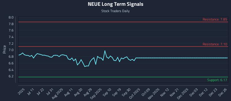 NEUE Long Term Analysis for December 26 2025 NEUE Long Term Analysis for December 26 2025