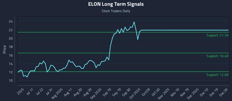 ELON Long Term Analysis for December 27 2025