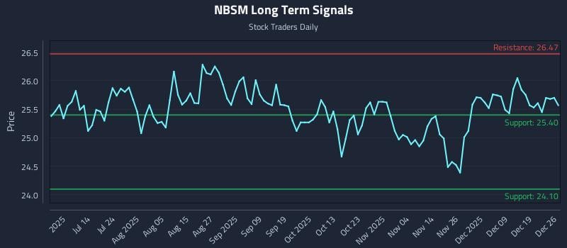 NBSM Long Term Analysis for December 28 2025