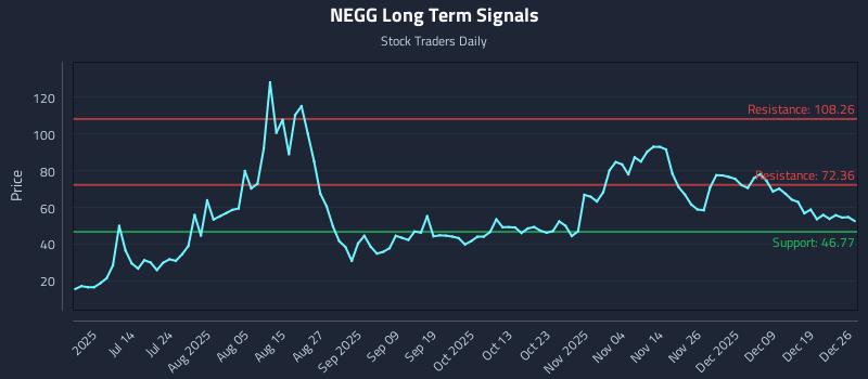 NEGG Long Term Analysis for December 28 2025 NEGG Long Term Analysis for December 28 2025