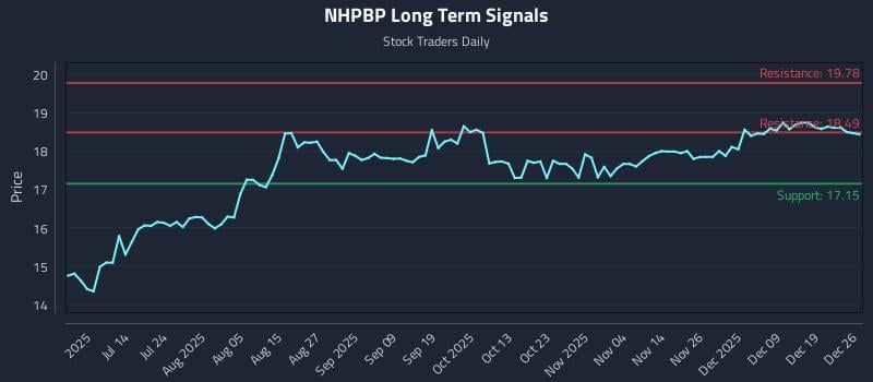 NHPBP Long Term Analysis for December 28 2025
