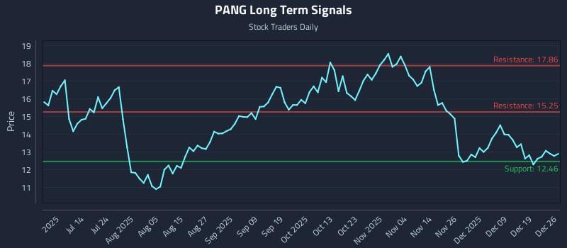 PANG Long Term Analysis for December 28 2025