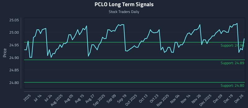 PCLO Long Term Analysis for December 28 2025 PCLO Long Term Analysis for December 28 2025