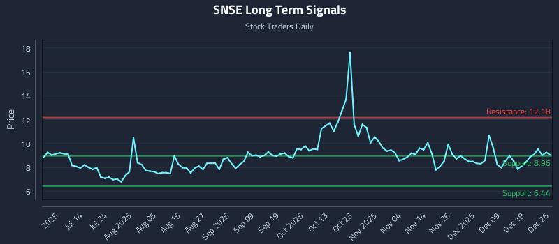 SNSE Long Term Analysis for December 28 2025 SNSE Long Term Analysis for December 28 2025
