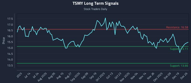 TSMY Long Term Analysis for December 28 2025 TSMY Long Term Analysis for December 28 2025