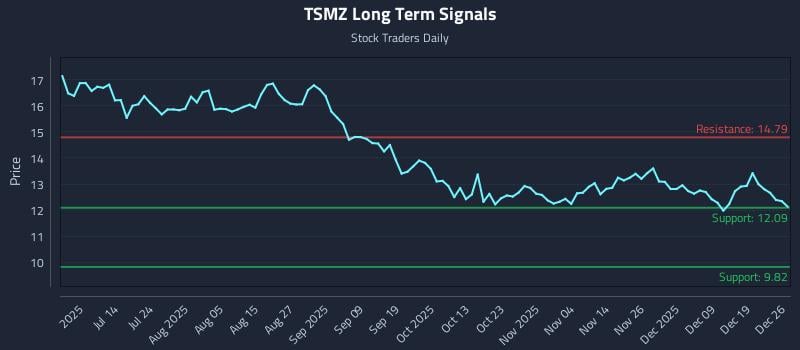 TSMZ Long Term Analysis for December 28 2025