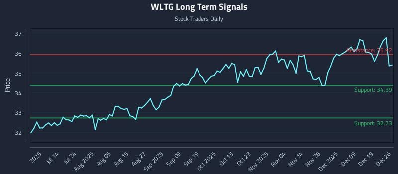WLTG Long Term Analysis for December 28 2025