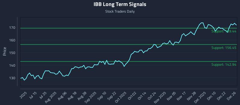 IBB Long Term Analysis for December 29 2025