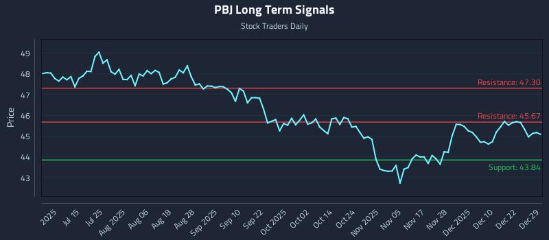 PBJ Long Term Analysis for December 29 2025