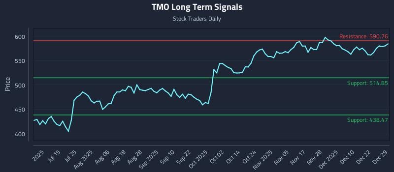TMO Long Term Analysis for December 29 2025