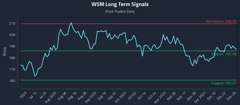 WSM Long Term Analysis for December 29 2025
