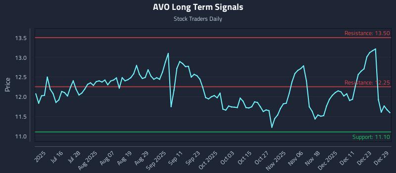 AVO Long Term Analysis for December 30 2025
