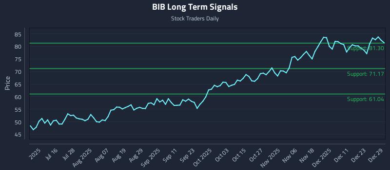 BIB Long Term Analysis for December 30 2025