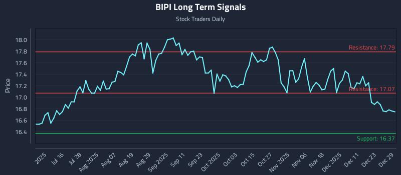 BIPI Long Term Analysis for December 30 2025