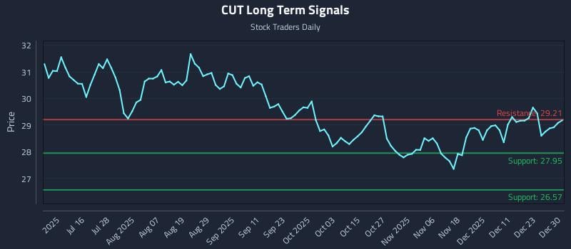 CUT Long Term Analysis for December 30 2025