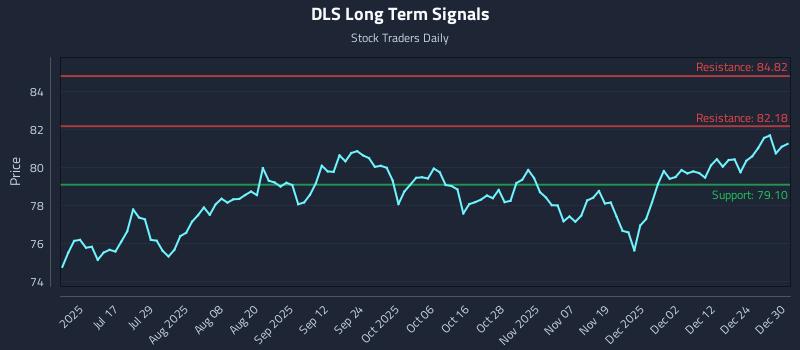 DLS Long Term Analysis for December 31 2025