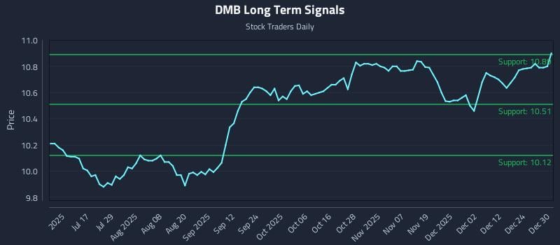 DMB Long Term Analysis for December 31 2025