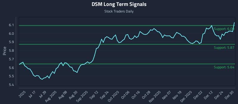 DSM Long Term Analysis for December 31 2025