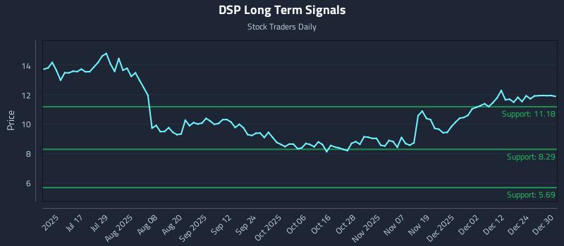 DSP Long Term Analysis for December 31 2025