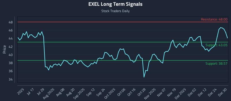 EXEL Long Term Analysis for December 31 2025