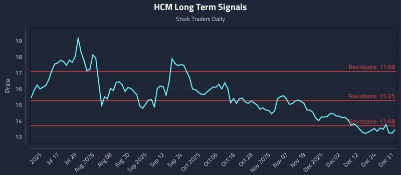 HCM Long Term Analysis for January 1 2026