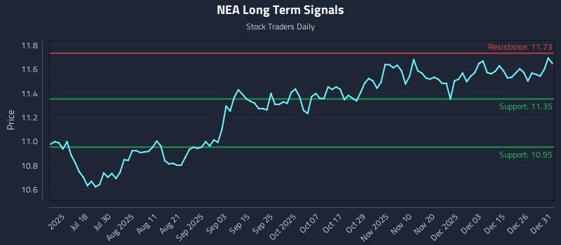 NEA Long Term Analysis for January 2 2026