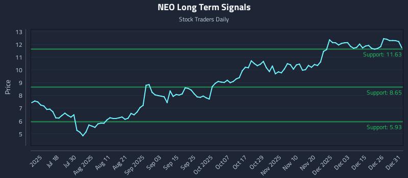 NEO Long Term Analysis for January 2 2026