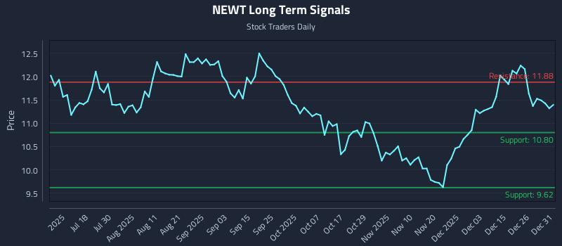NEWT Long Term Analysis for January 2 2026 NEWT Long Term Analysis for January 2 2026
