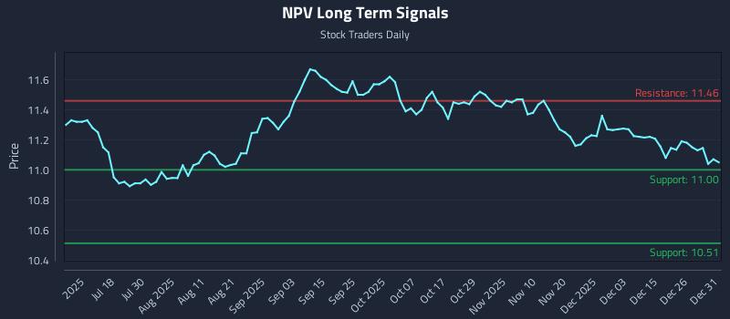 NPV Long Term Analysis for January 2 2026