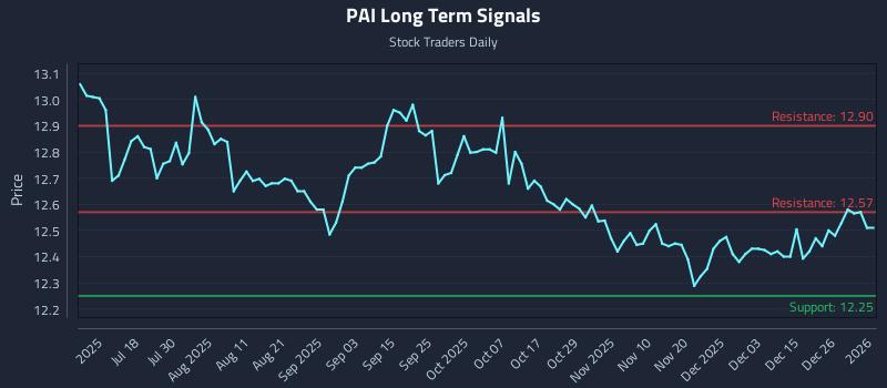 PAI Long Term Analysis for January 2 2026