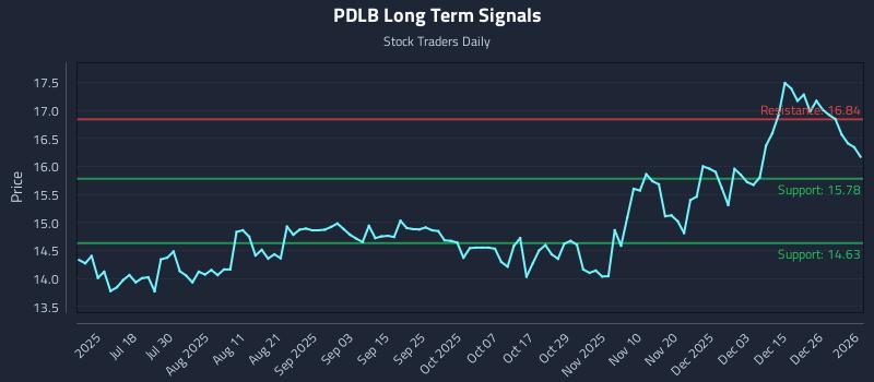 PDLB Long Term Analysis for January 2 2026