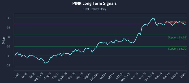 PINK Long Term Analysis for January 2 2026