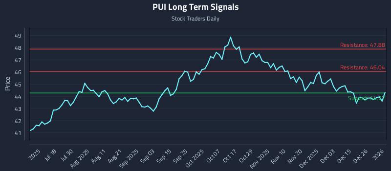 PUI Long Term Analysis for January 2 2026