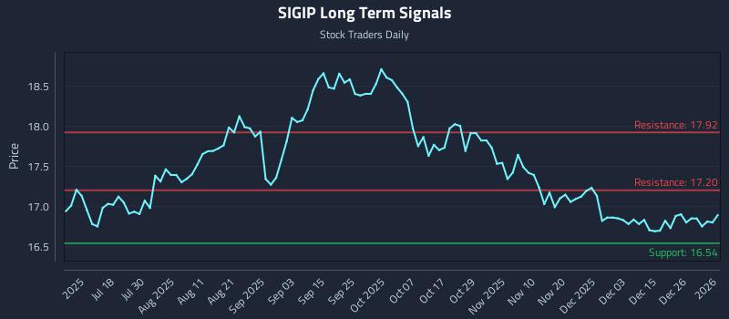 SIGIP Long Term Analysis for January 3 2026