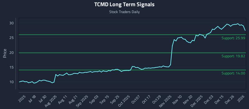 TCMD Long Term Analysis for January 3 2026