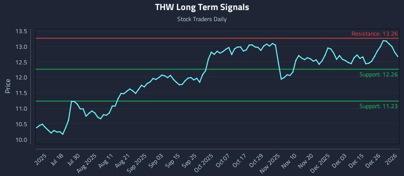 THW Long Term Analysis for January 3 2026