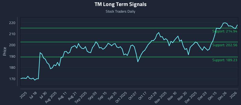 TM Long Term Analysis for January 3 2026