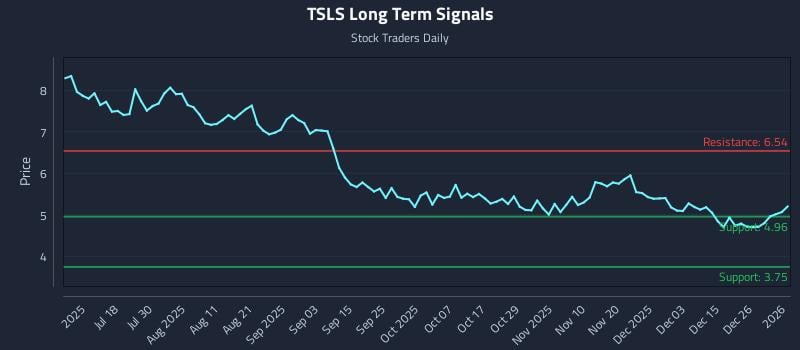 TSLS Long Term Analysis for January 3 2026