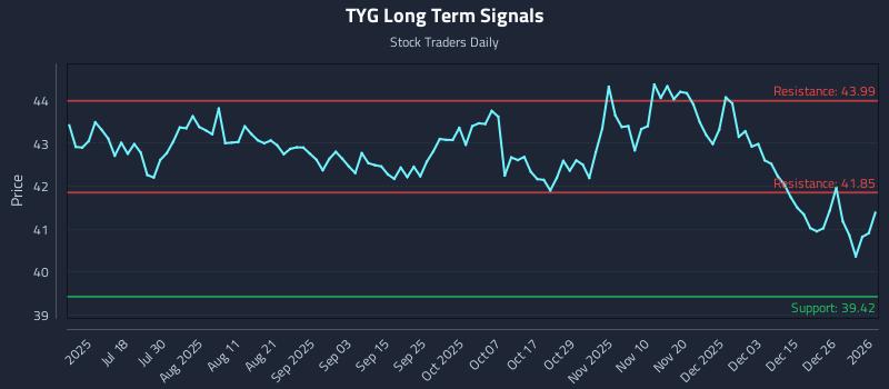 TYG Long Term Analysis for January 3 2026
