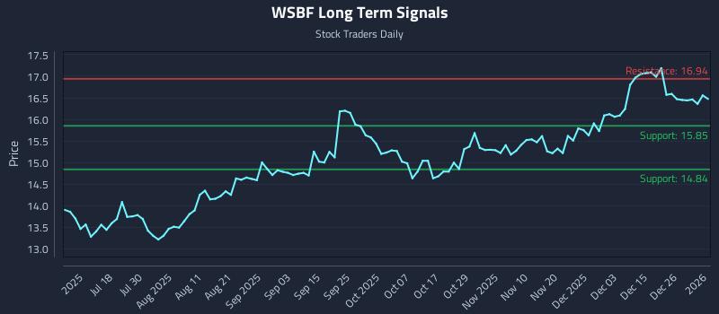 WSBF Long Term Analysis for January 4 2026