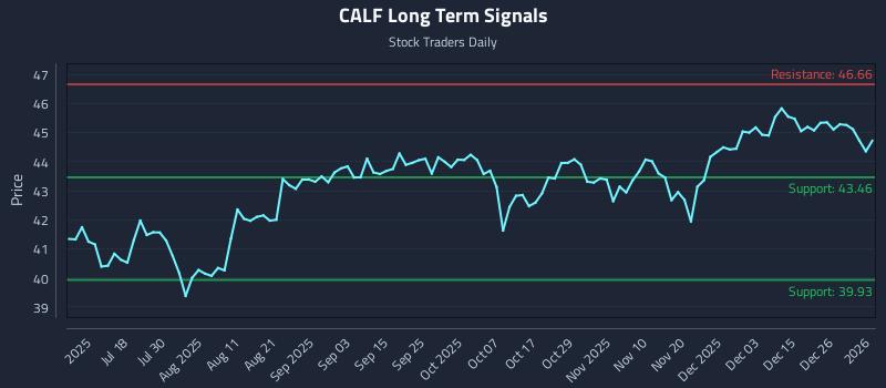 CALF Long Term Analysis for January 4 2026