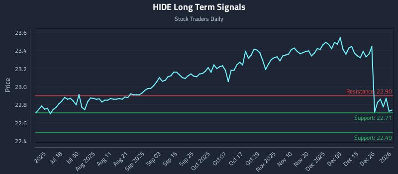 HIDE Long Term Analysis for January 4 2026 HIDE Long Term Analysis for January 4 2026