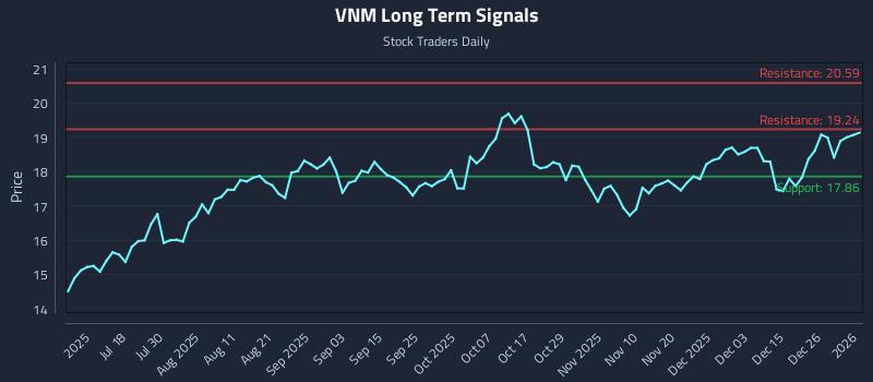 VNM Long Term Analysis for January 4 2026