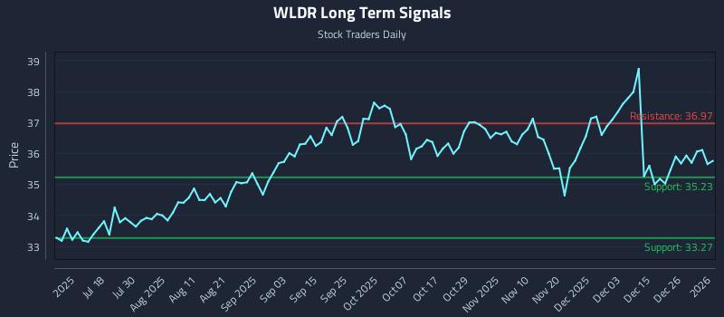WLDR Long Term Analysis for January 4 2026
